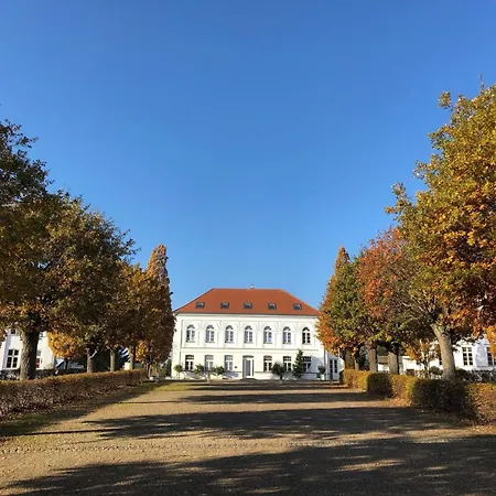 Circus Loft In Der Circus